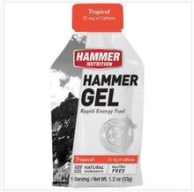 Load image into Gallery viewer, HAMMER GEL® Rapid Engery Fuel
