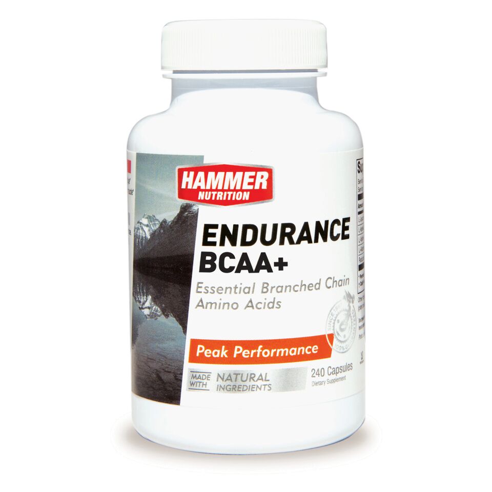 ENDURANCE BCAA+ - Essential Branched Chain Amino Acids (120CAPS)