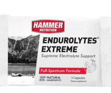 Load image into Gallery viewer, ENDUROLYTES® EXTREME - Electrolyte Replacement
